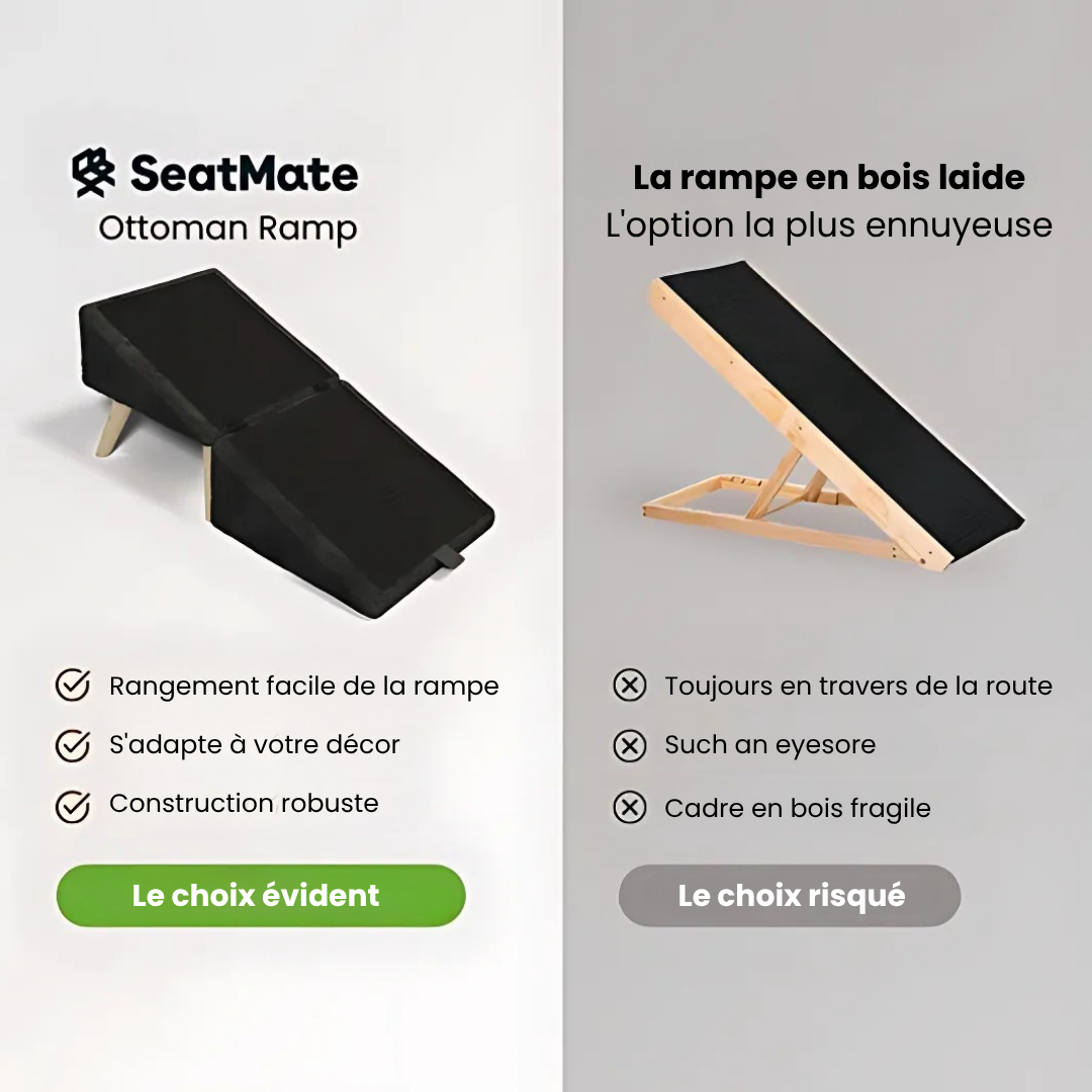 PawRestÂź - Rampe pour chien + pouf