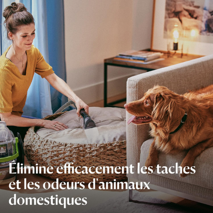 Machine Portable de Nettoyage Profond pour Tapis & Tissus d’Ameublement