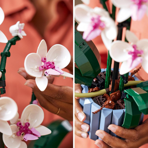 Set de construction florale décorative – Orchidée d’intérieur (608 pièces)