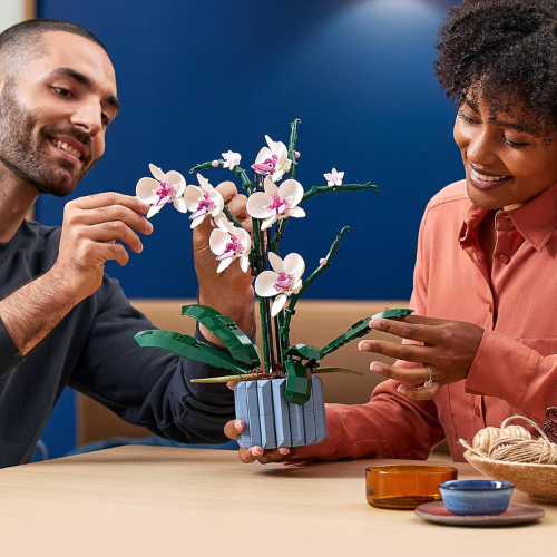 Set de construction florale décorative – Orchidée d’intérieur (608 pièces)