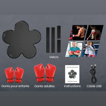 Entraîneur de Boxe Mural avec Bluetooth & Lumières LED