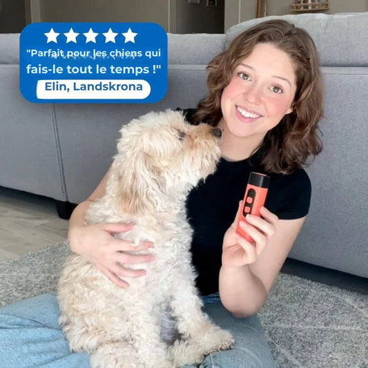 LydLyn | Arrêtez les aboiements de votre chien en un seul clic